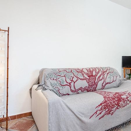 Holiday House Li Piri ซาน เตโอโดโร ภายนอก รูปภาพ